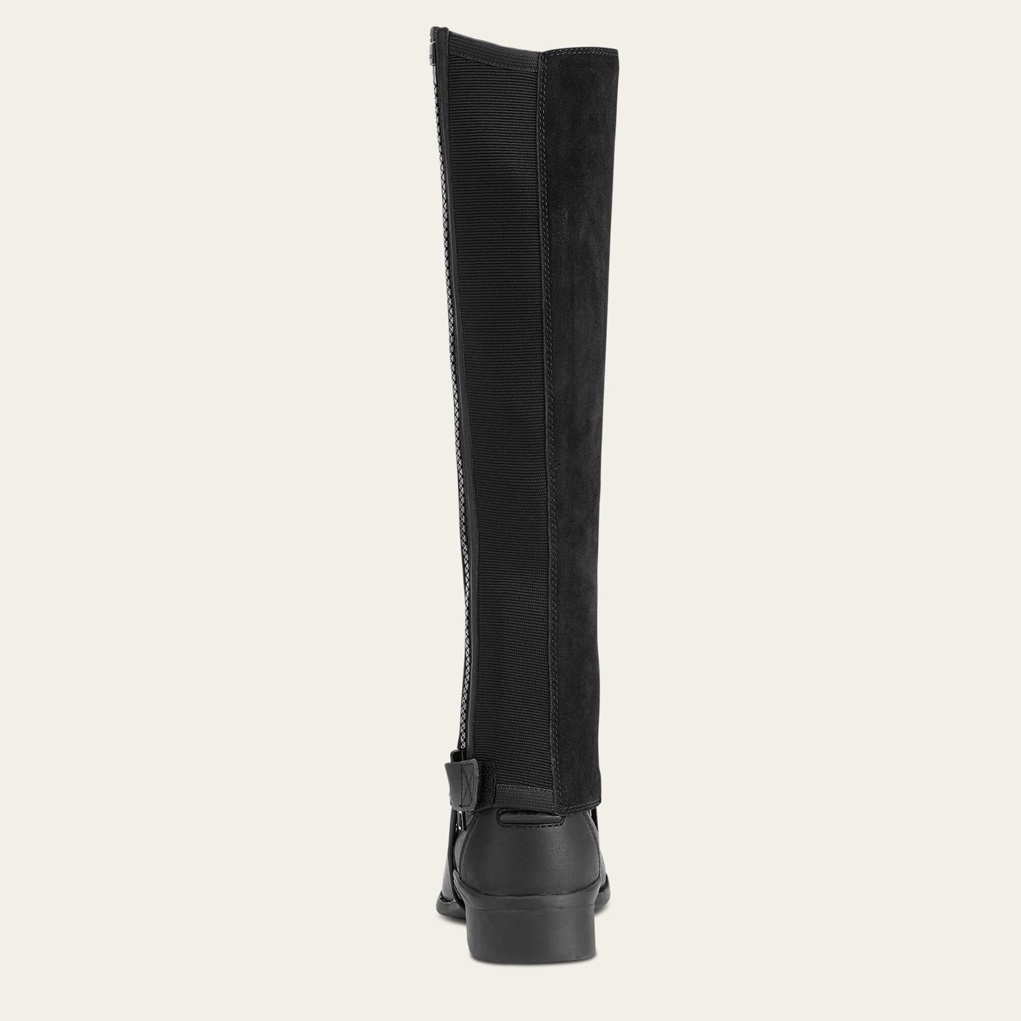 Ariat Scout Chap Half Chap Men|Women
