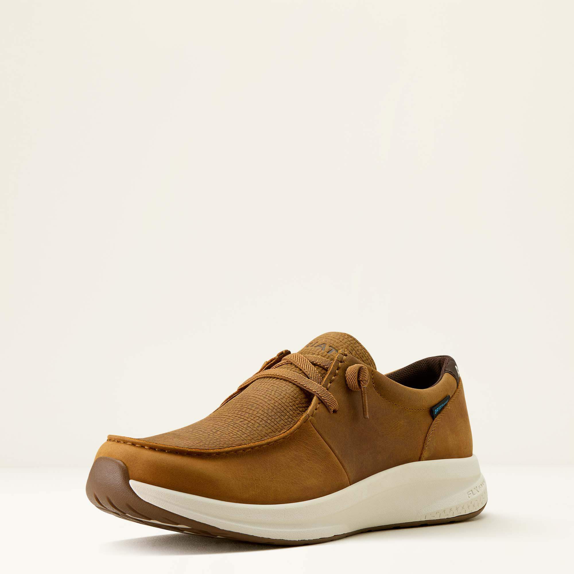 Ariat Buckeye Waterproof Shoe Men