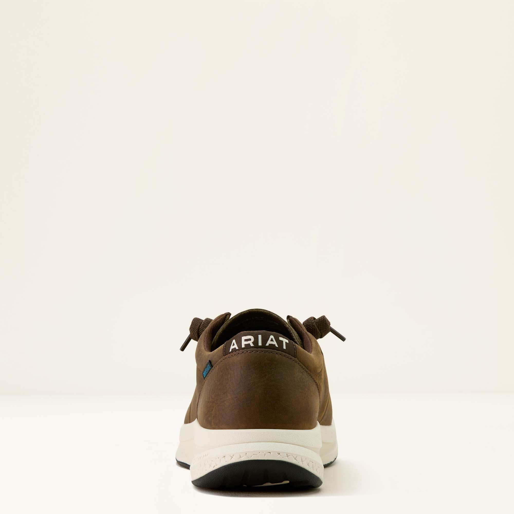 Ariat Buckeye Waterproof Shoe Men