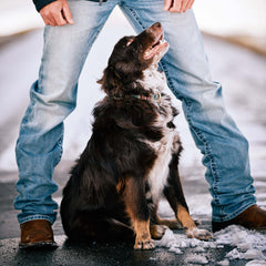 Ariat M2 Relaxed Stirling Stretch Boot Cut Jean Men|Trends