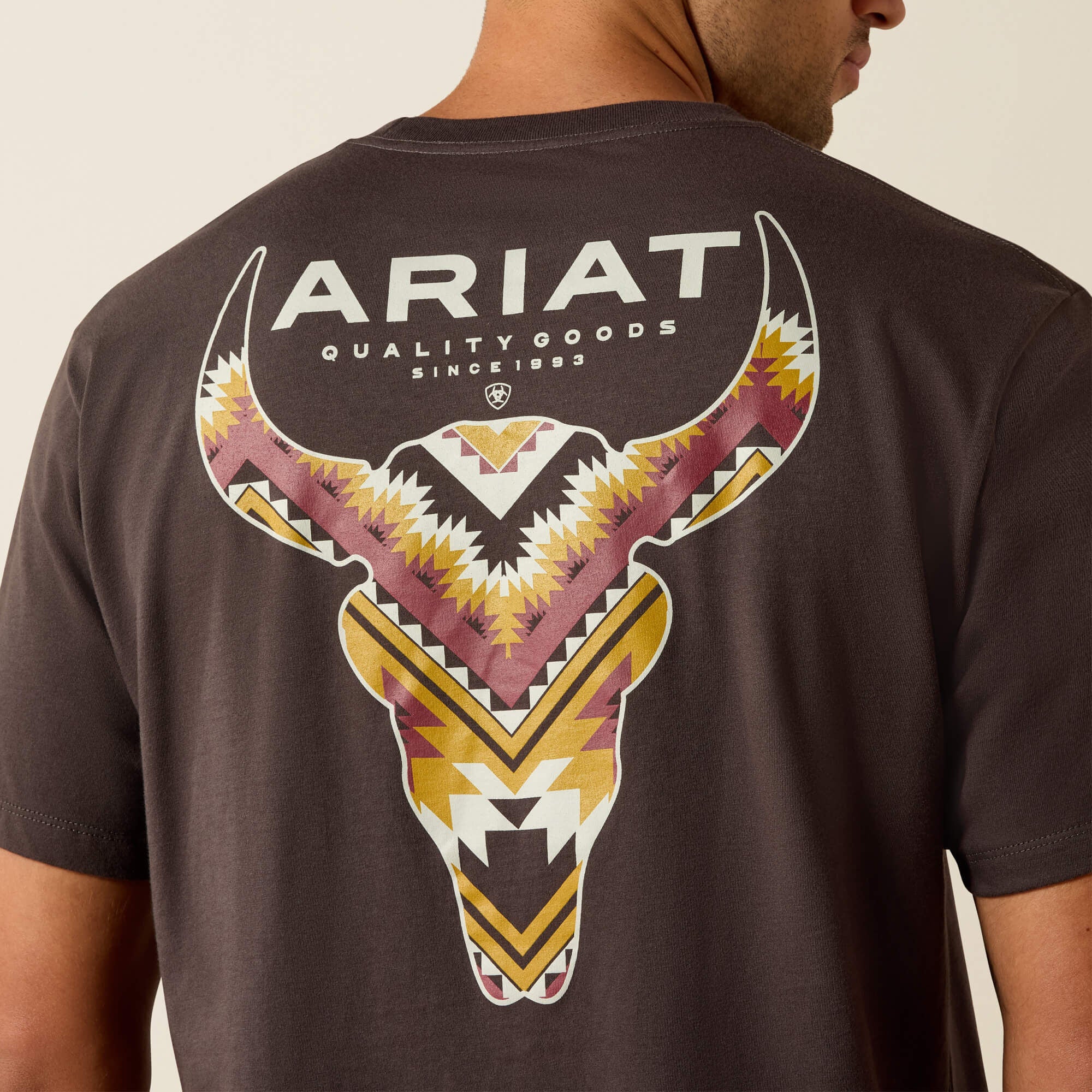 Ariat Ariat Southwest Longest Horn Classic Fit T-Shirt Men