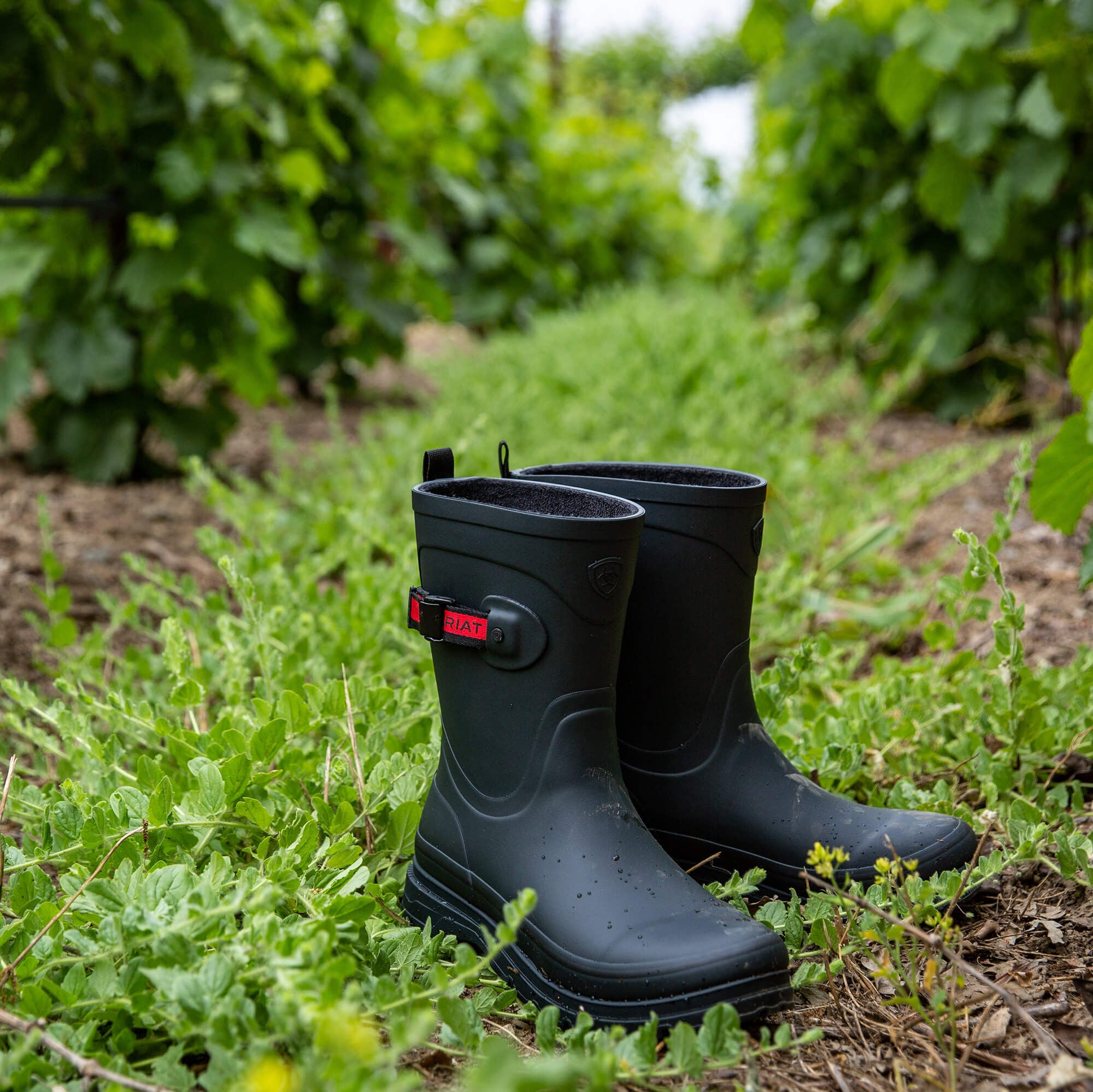Ariat Kelmarsh Mid Rubber Boot Women