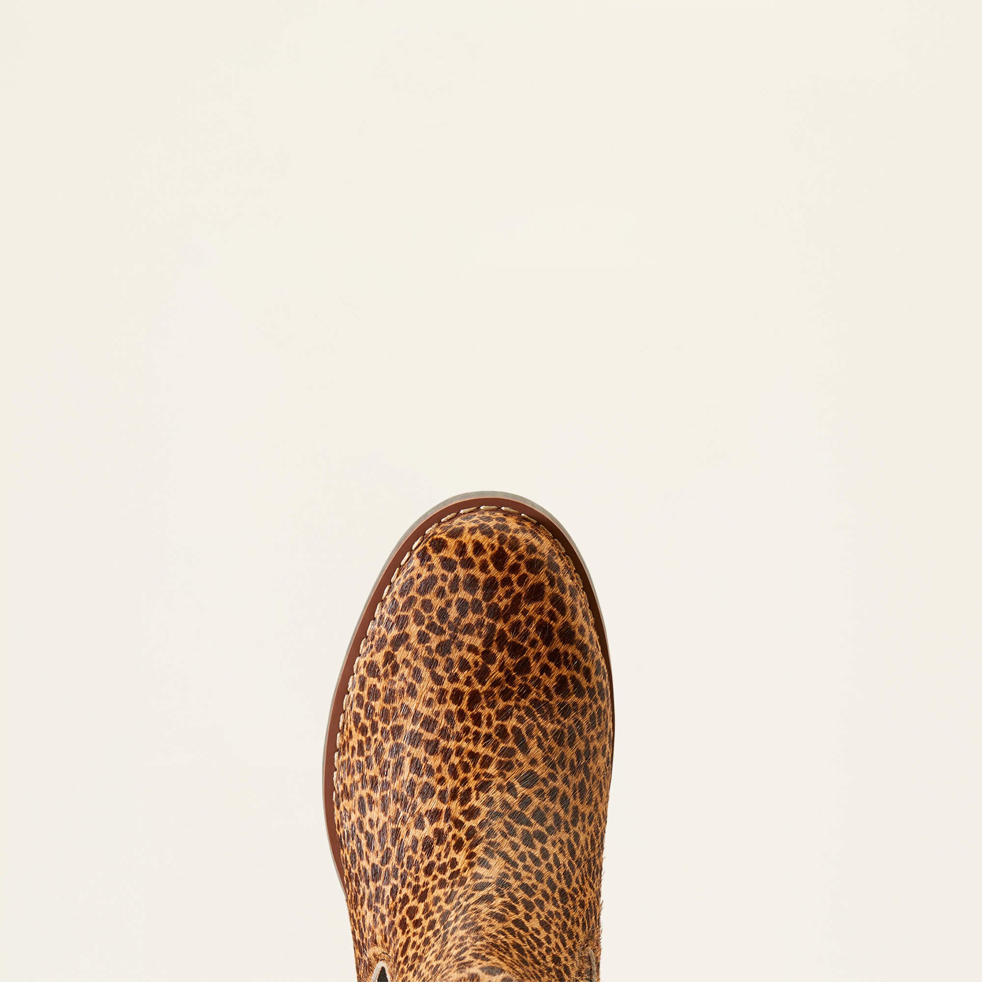 Ariat Wexford Chelsea Boot Women|Trends