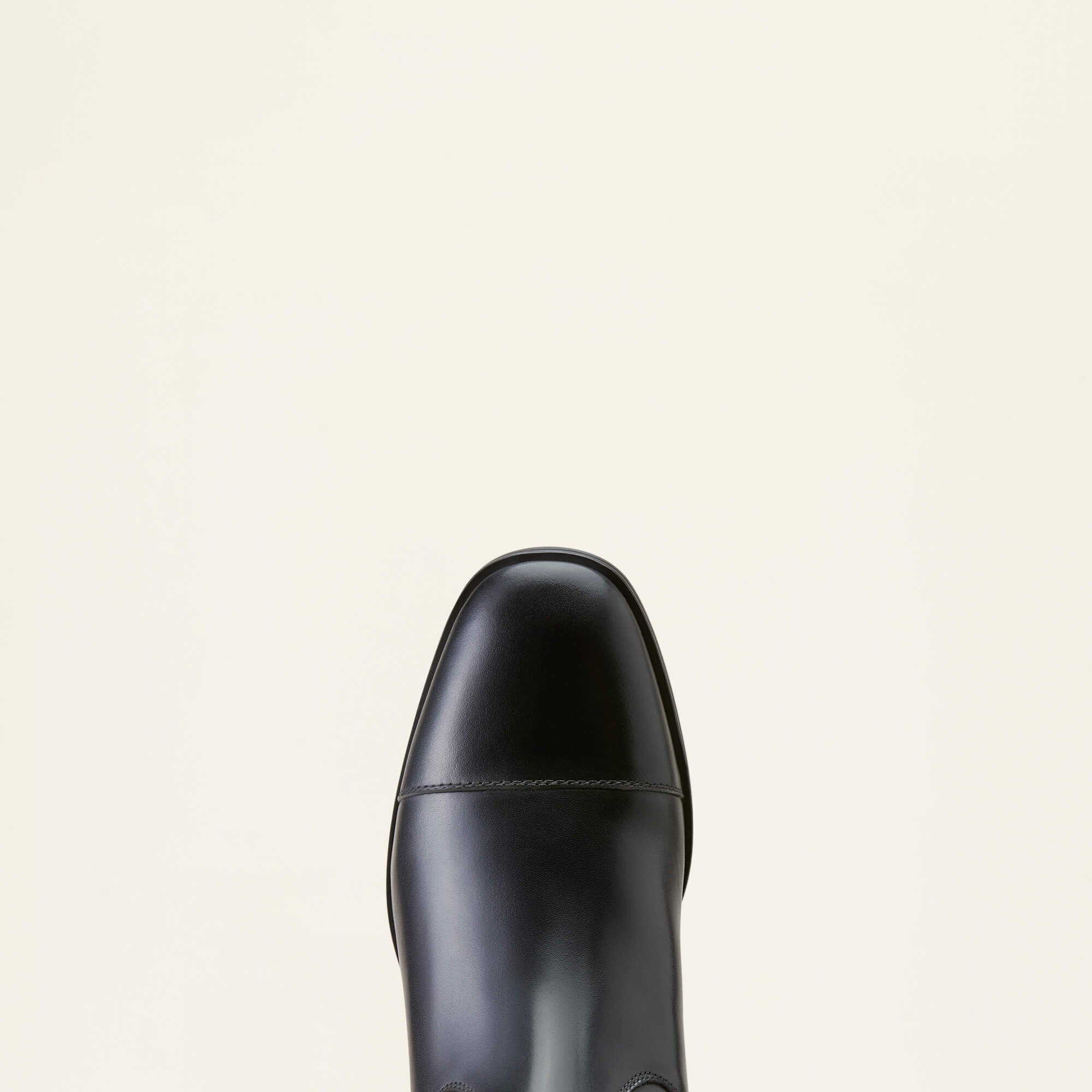 Ariat Ravello Dress Tall Riding Boot Women