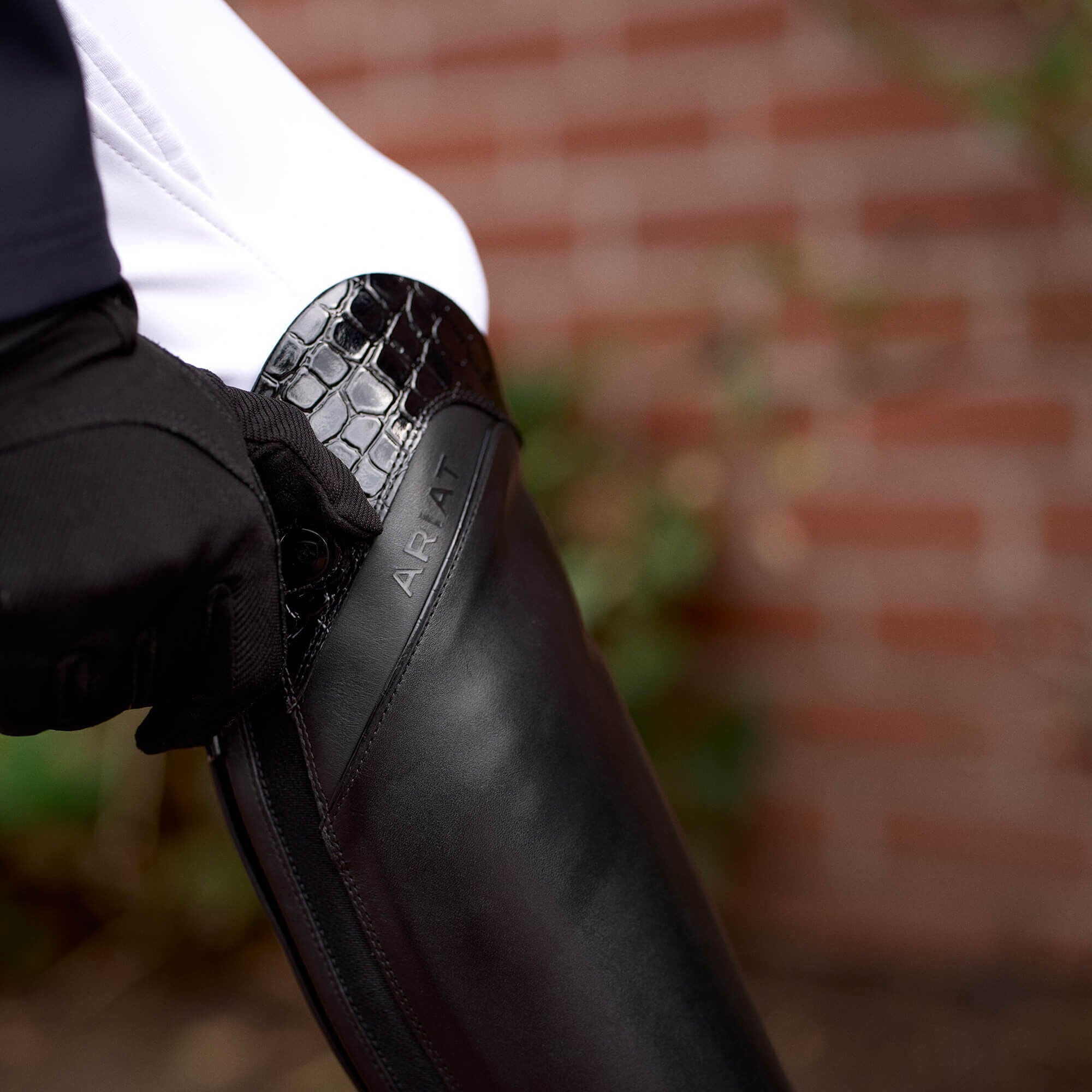 Ariat Palisade Show Tall Riding Boot Women