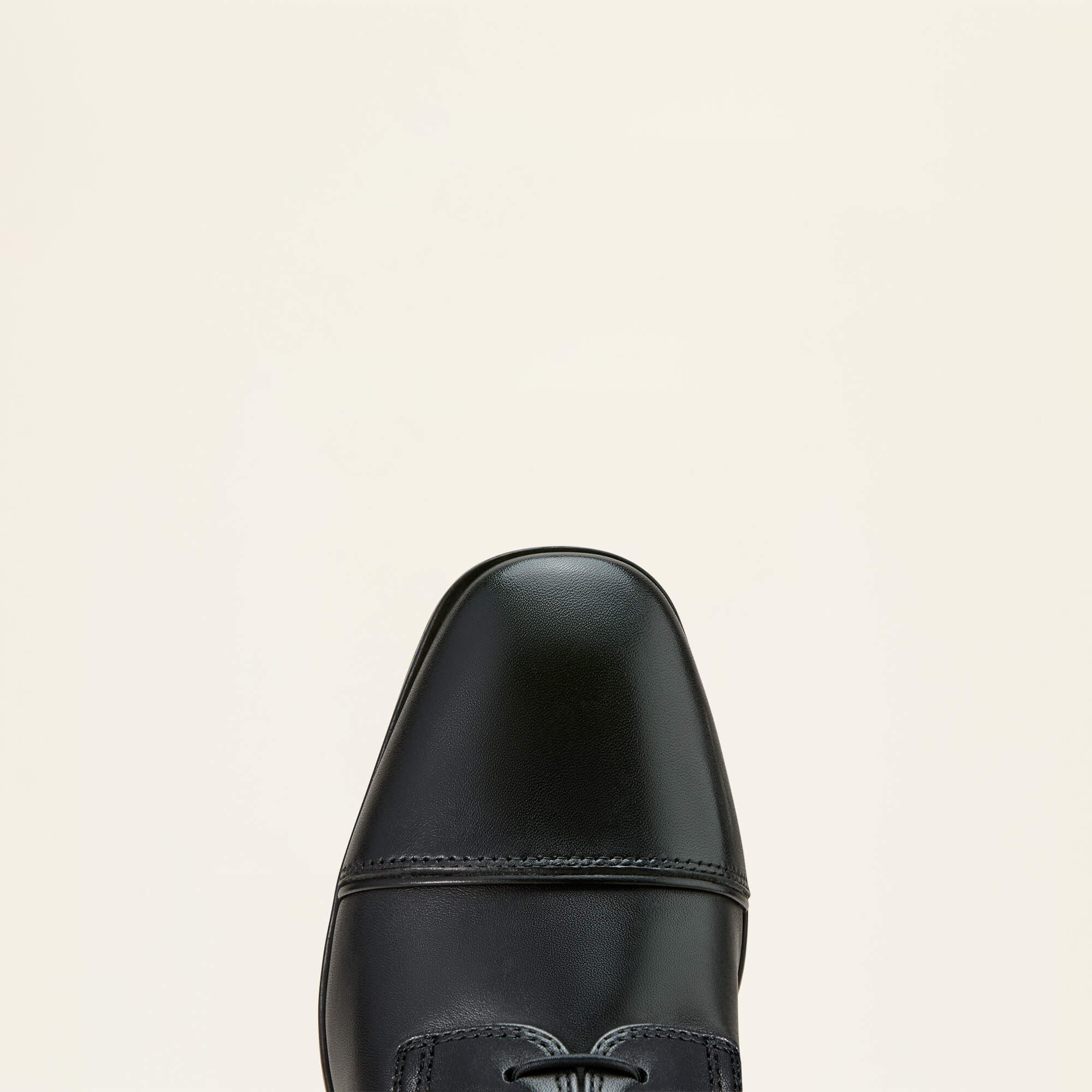 Ariat Palisade Lace Tall Riding Boot Women