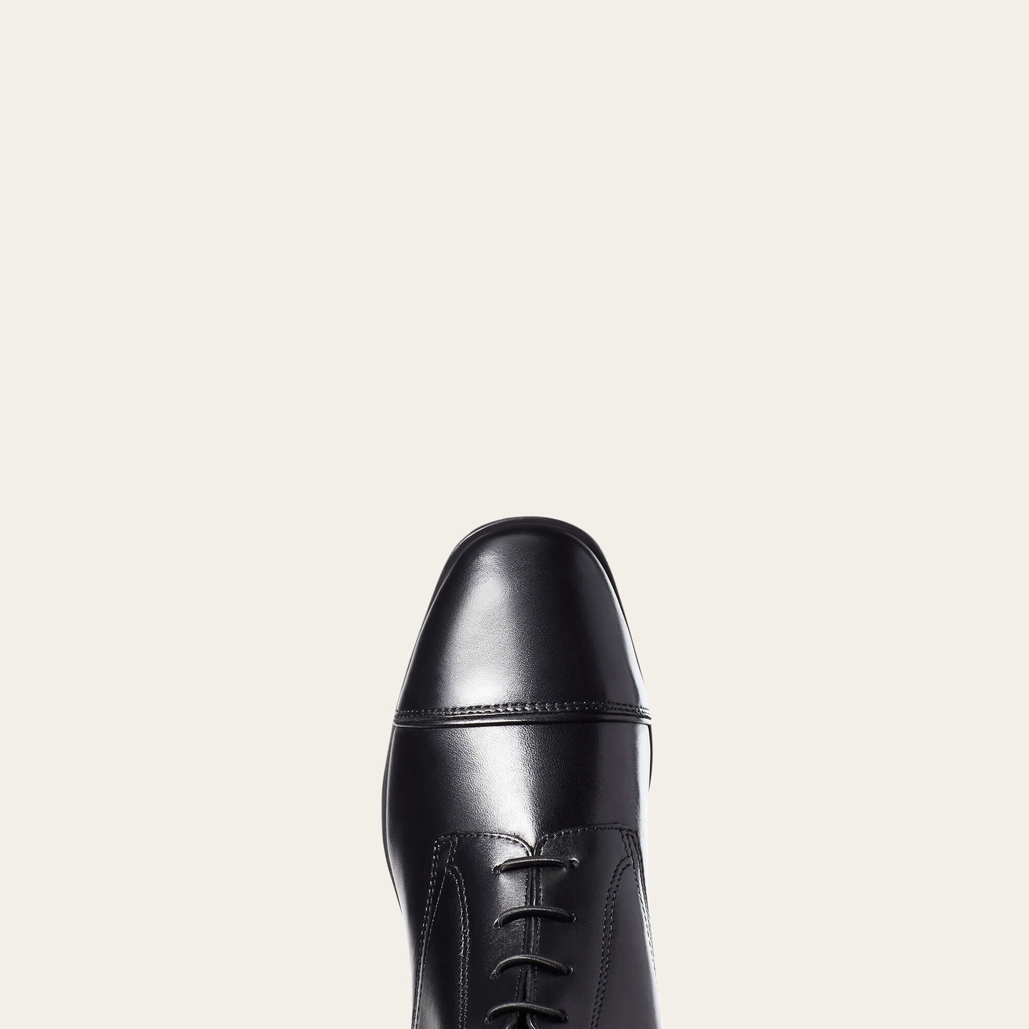 Ariat Palisade Tall Riding Boot Women