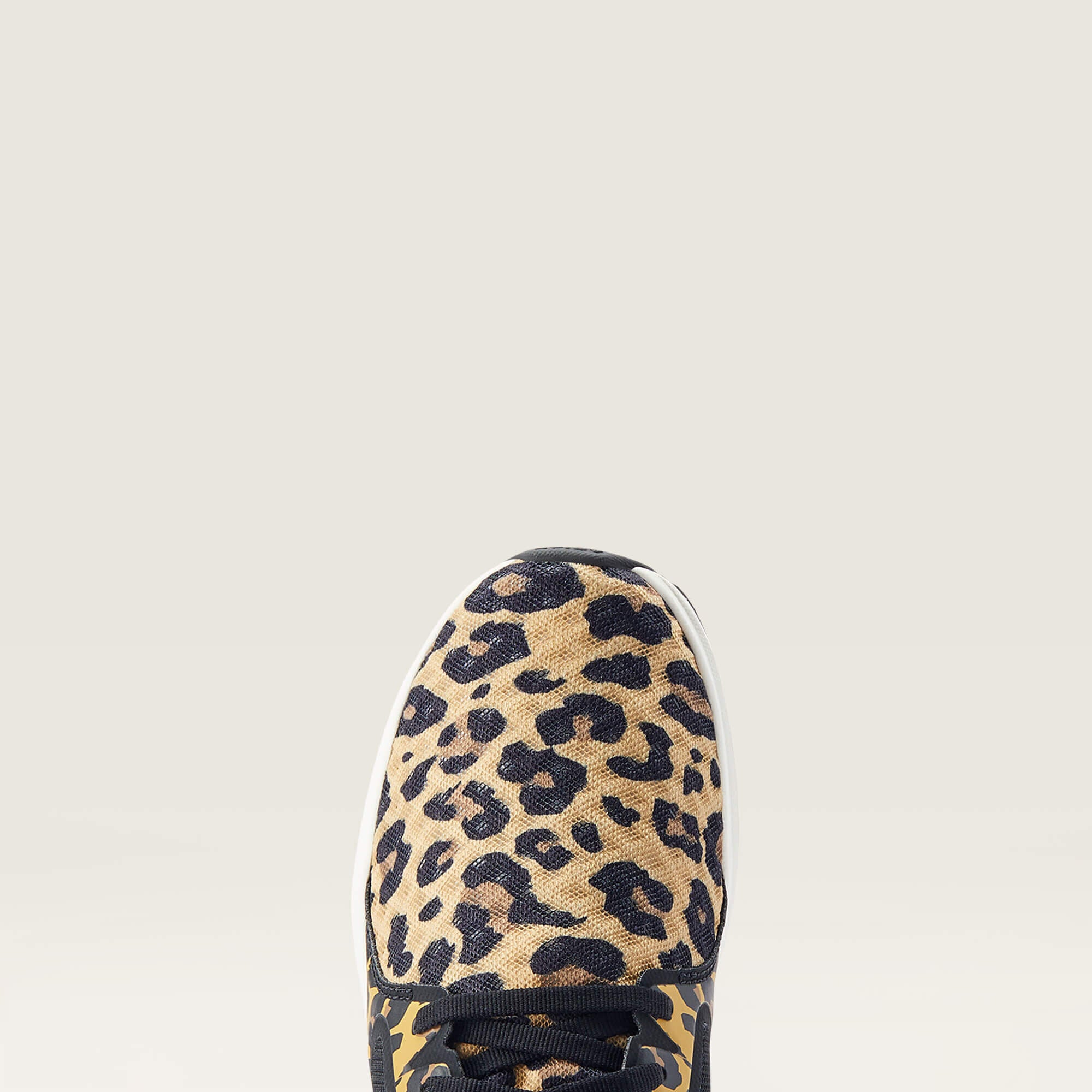 Ariat Fuse Women